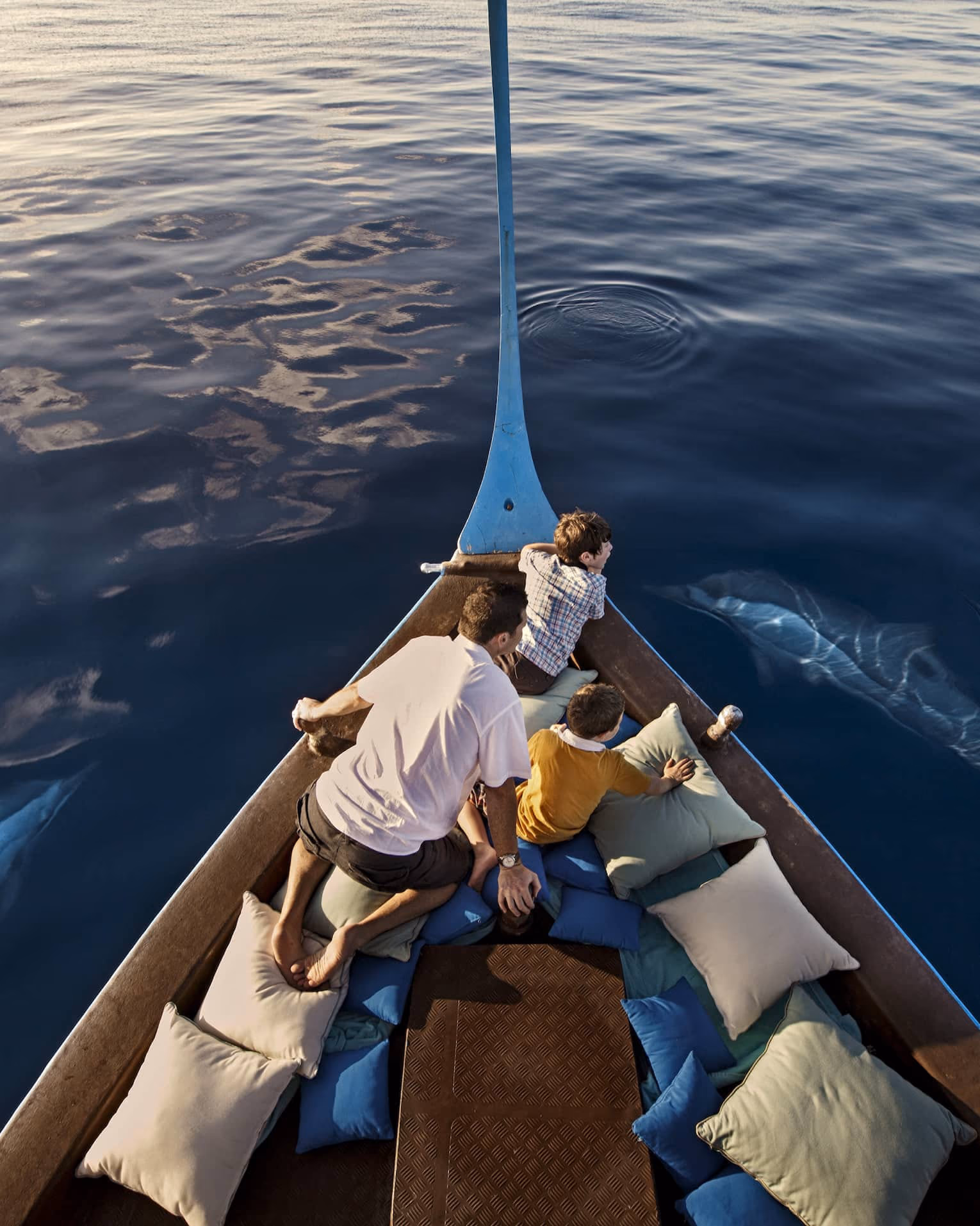 Croisières dauphins & sunset
